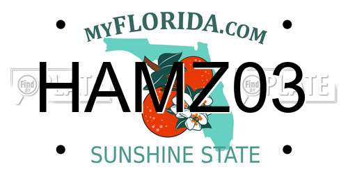 HAMZ03 Florida License Plate
