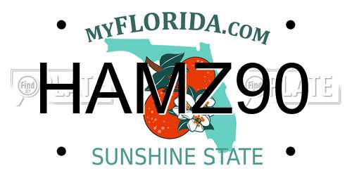 HAMZ90 Florida License Plate