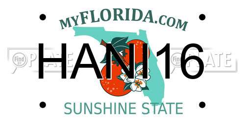 HANI16 Florida License Plate