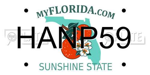 HANP59 Florida License Plate