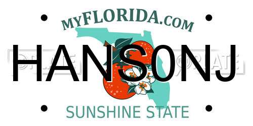 HANS0NJ Florida License Plate