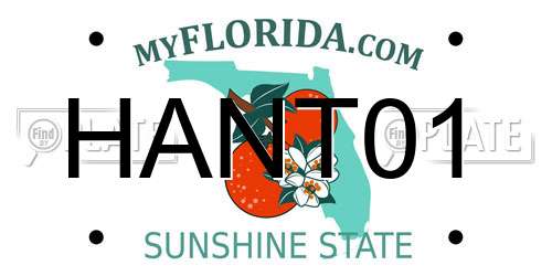 HANT01 Florida License Plate