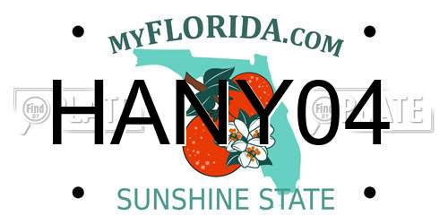 HANY04 Florida License Plate