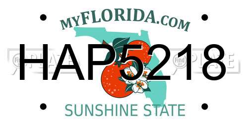 HAP5218 Florida License Plate