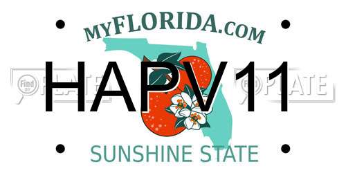 HAPV11 Florida License Plate