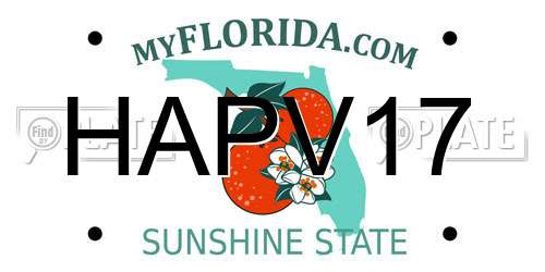 HAPV17 Florida License Plate