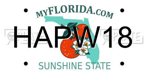 HAPW18 Florida License Plate
