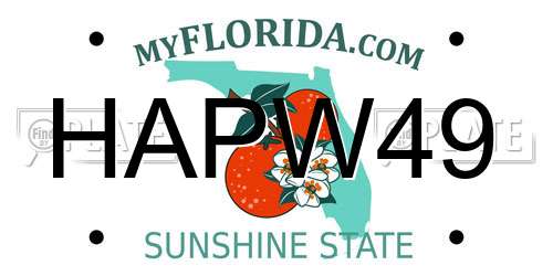 HAPW49 Florida License Plate