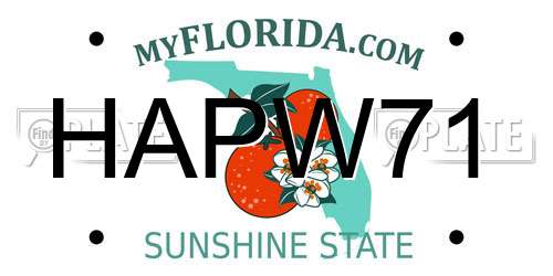HAPW71 Florida License Plate