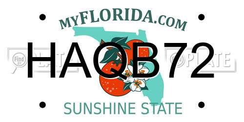 HAQB72 Florida License Plate