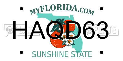HAQD63 Florida License Plate