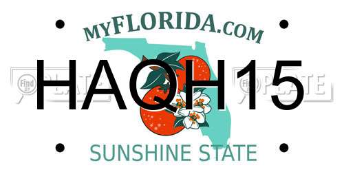 HAQH15 Florida License Plate