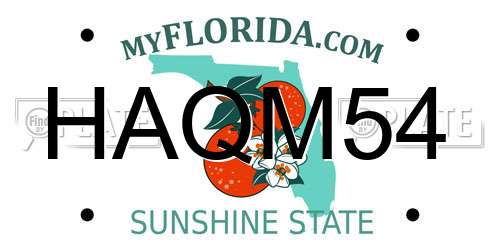HAQM54 Florida License Plate