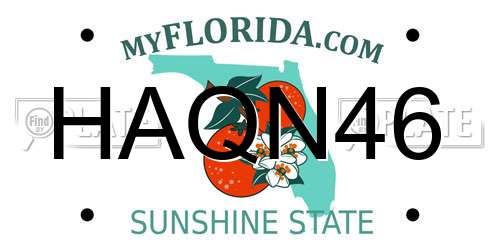 HAQN46 Florida License Plate