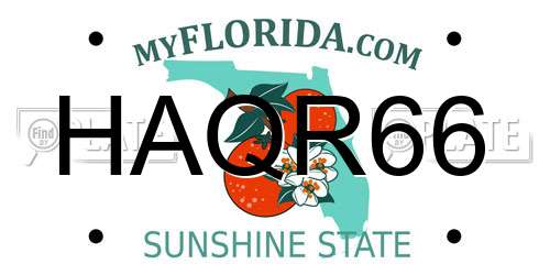 HAQR66 Florida License Plate