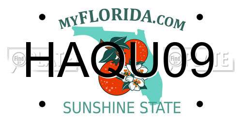 HAQU09 Florida License Plate
