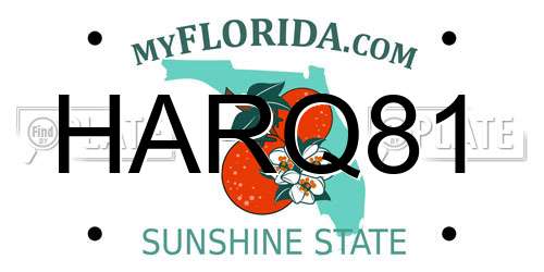 HARQ81 Florida License Plate