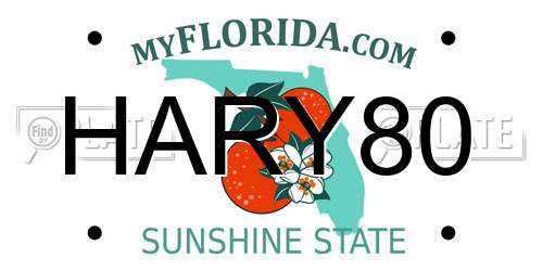 HARY80 Florida License Plate