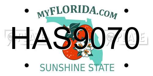 HAS9070 Florida License Plate