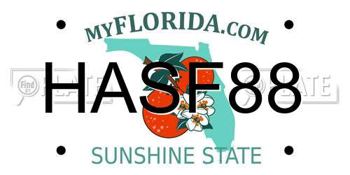 HASF88 Florida License Plate