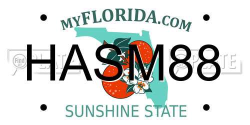 HASM88 Florida License Plate