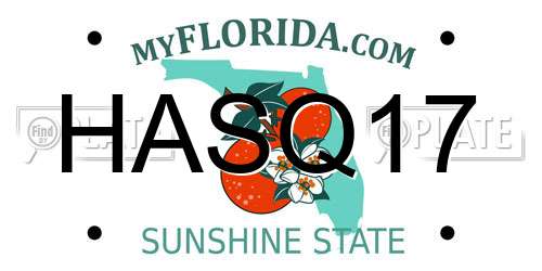 HASQ17 Florida License Plate