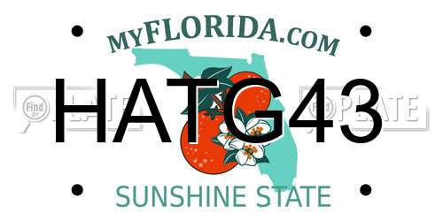 HATG43 Florida License Plate