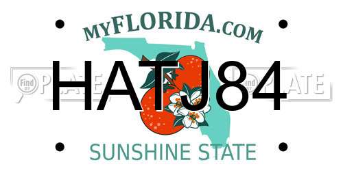 HATJ84 Florida License Plate