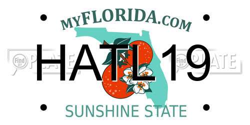 HATL19 Florida License Plate