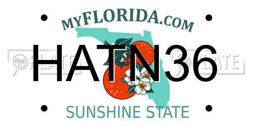 HATN36 Florida License Plate