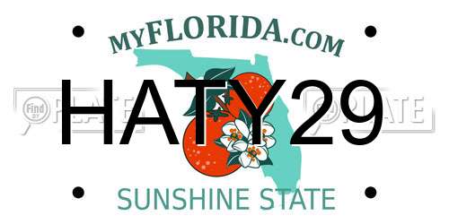 HATY29 Florida License Plate