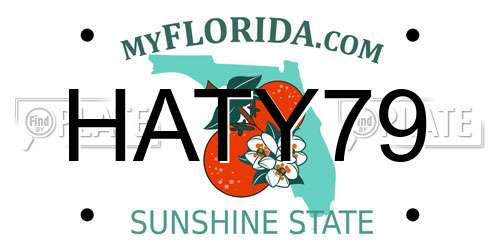 HATY79 Florida License Plate