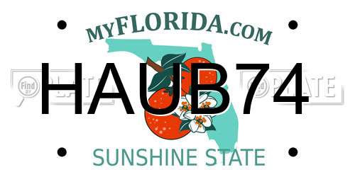 HAUB74 Florida License Plate