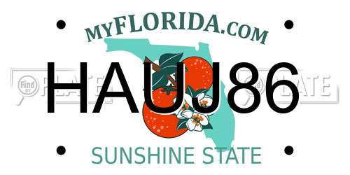 HAUJ86 Florida License Plate