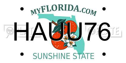 HAUU76 Florida License Plate