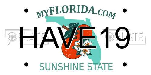 HAVE19 Florida License Plate