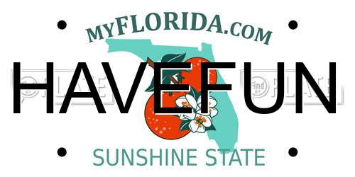 HAVEFUN Florida License Plate