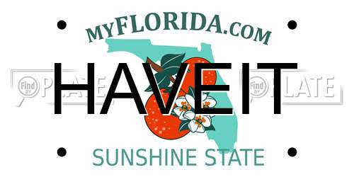 HAVEIT Florida License Plate