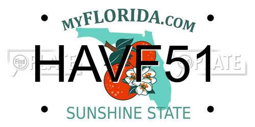 HAVF51 Florida License Plate
