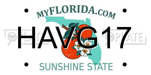 HAVG17 Florida License Plate