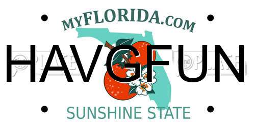 HAVGFUN Florida License Plate