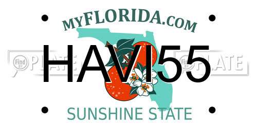 HAVI55 Florida License Plate