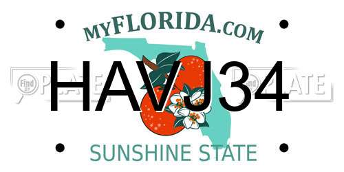 HAVJ34 Florida License Plate