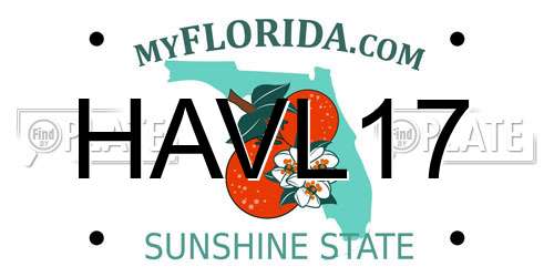 HAVL17 Florida License Plate