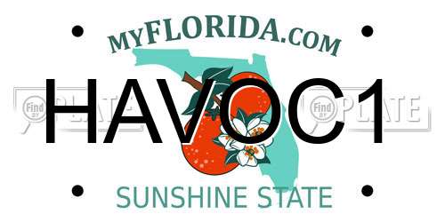 HAVOC1 Florida License Plate