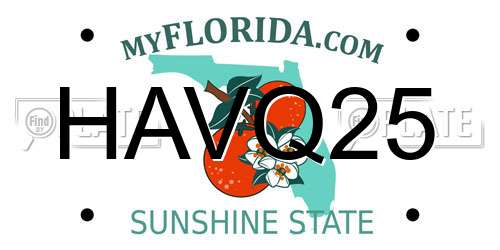 HAVQ25 Florida License Plate