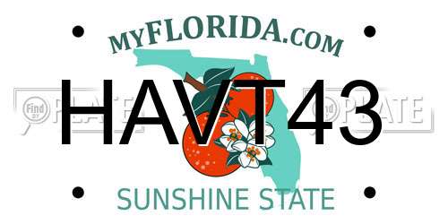 HAVT43 Florida License Plate