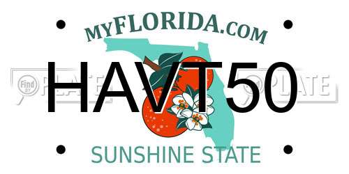 HAVT50 Florida License Plate