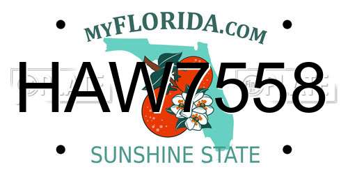 HAW7558 Florida License Plate
