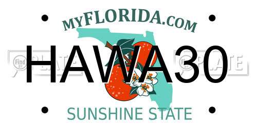 HAWA30 Florida License Plate